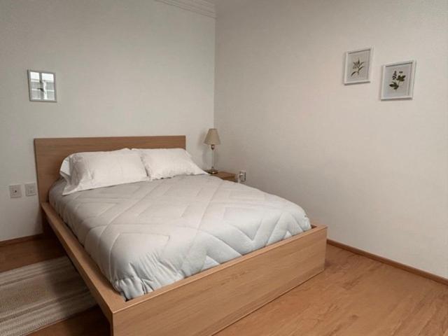 Appartamento Condesa Campeche 2 Spacious Ground-level In The Heart Of Condesa Città del Messico