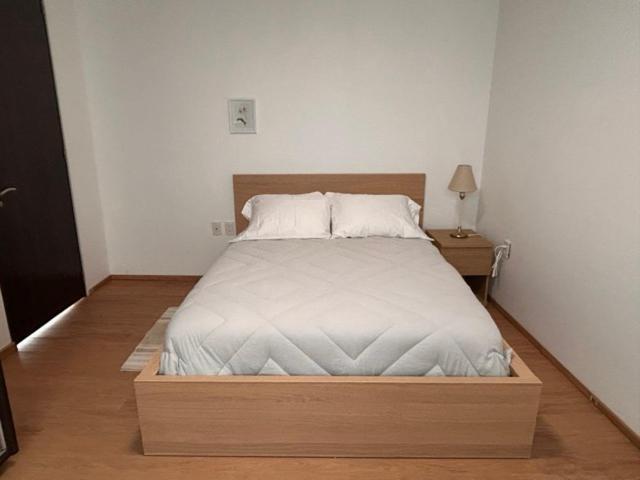 Apartment Condesa Campeche 2 Spacious Ground-level In The Heart Of Condesa