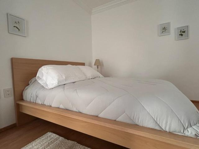 Apartment Condesa Campeche 2 Spacious Ground-level In The Heart Of Condesa *